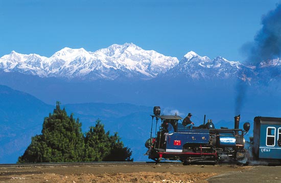 Queen of Hill <strong>Darjeeling</strong>