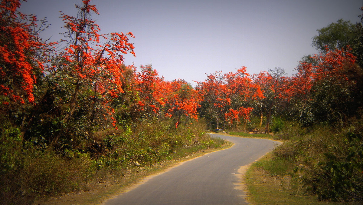 Baranti
