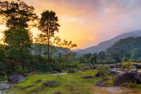 Buxa / Jayanti