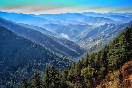 Shimla