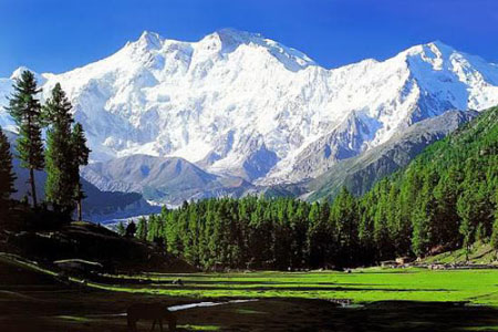 Gulmarg