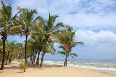 Marari Beach