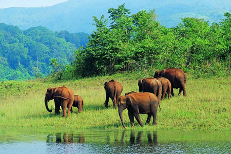 Thekkady