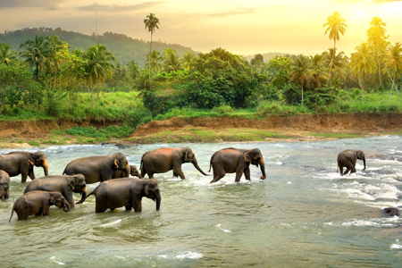 Thekkady