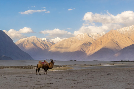 Nubra Valley