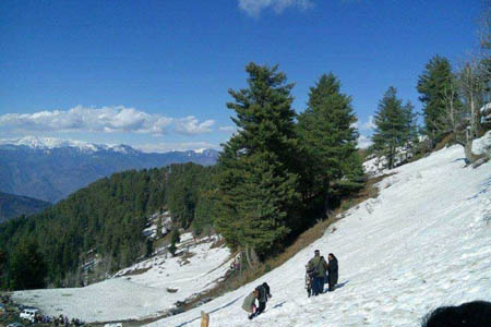 Patnitop