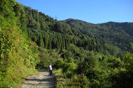 Kolakham - Neora Valley