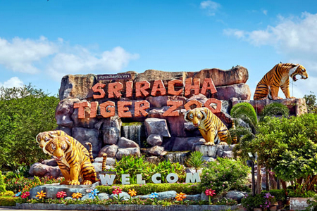 Pattaya