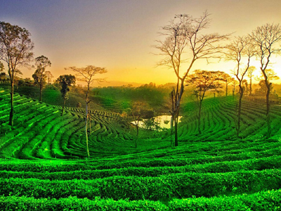 Assam
