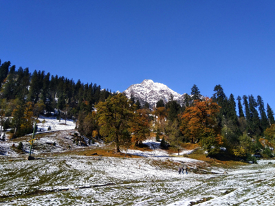 Himalayan-crown