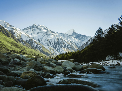 Himalayan-crown