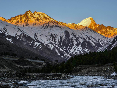Himalayan-crown
