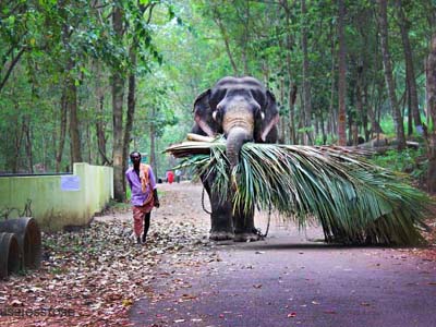 Kerala